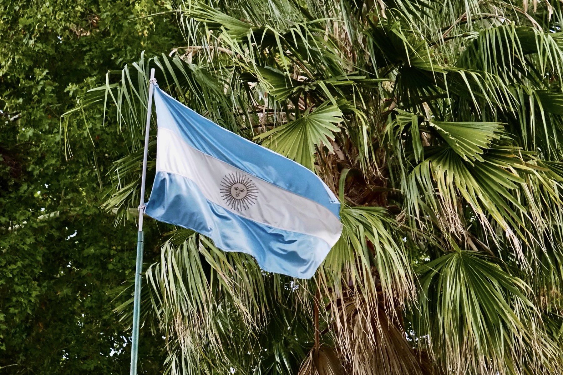 Drapeau argentin sur les vignes de Mendoza